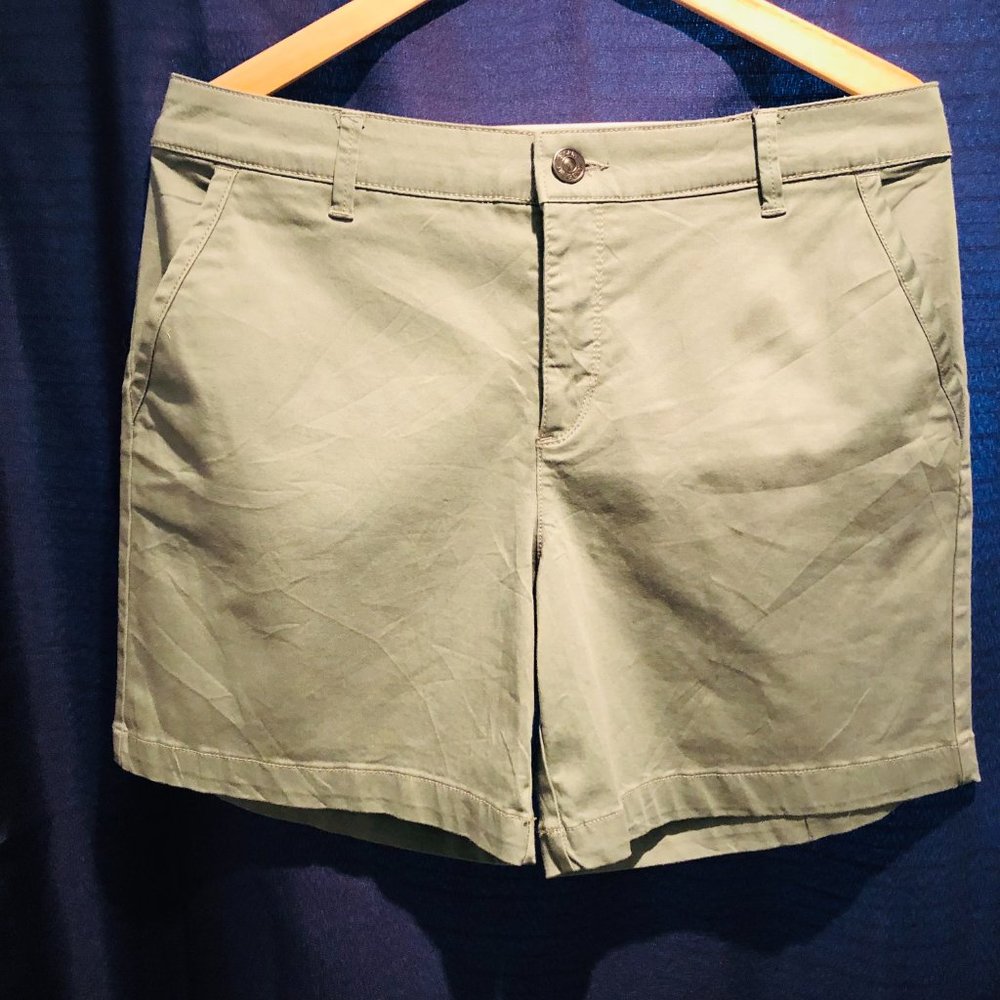 VANDERBILT | Short | 8 | Fern